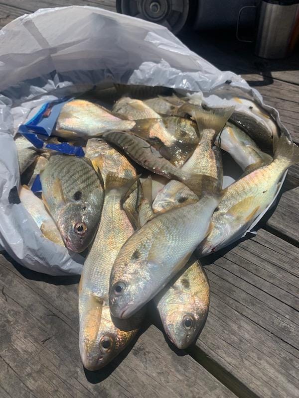 Delaware Fishing Report July 30th