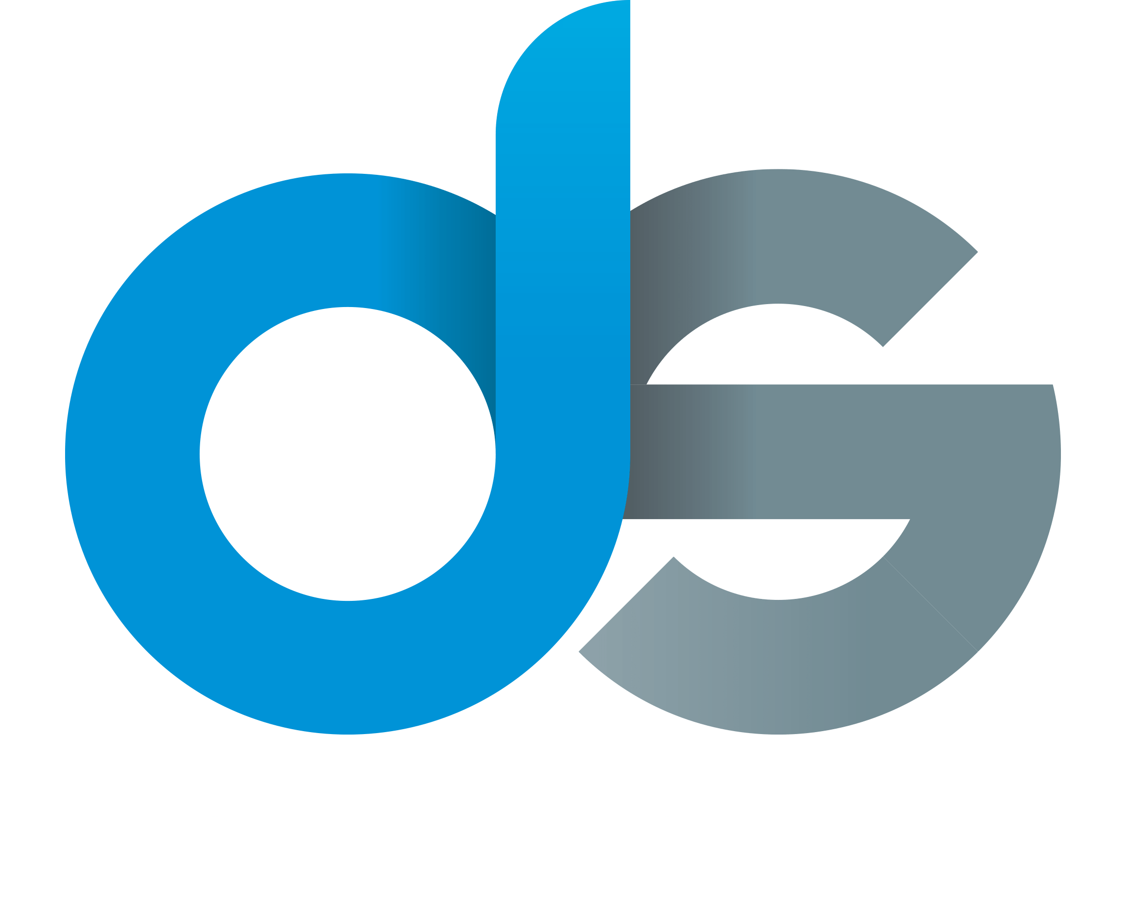 DS Group International
