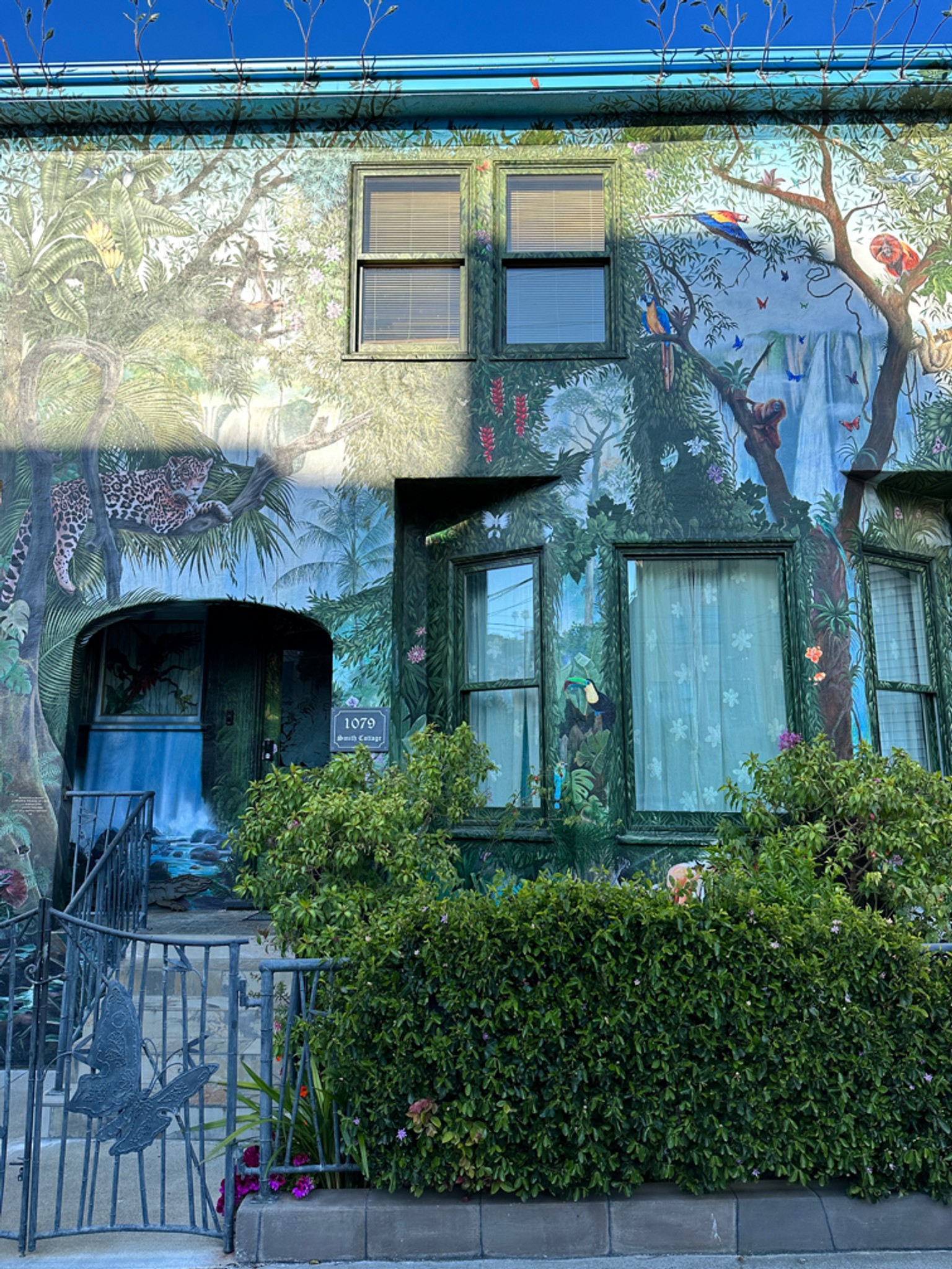 Why are the apartments in noe valley so sought aft... Fishbowl