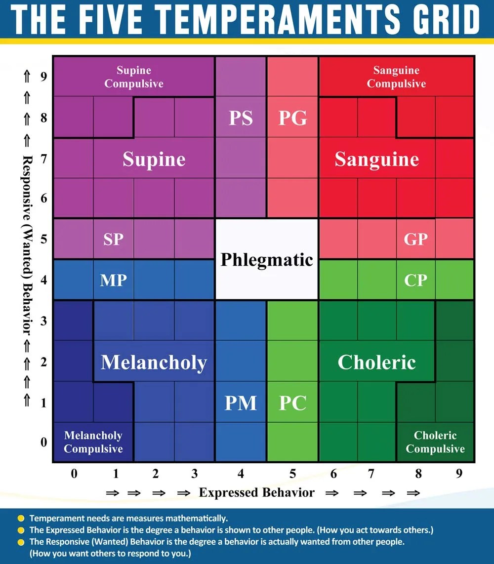 APS Temperament Report DayStar Ministries