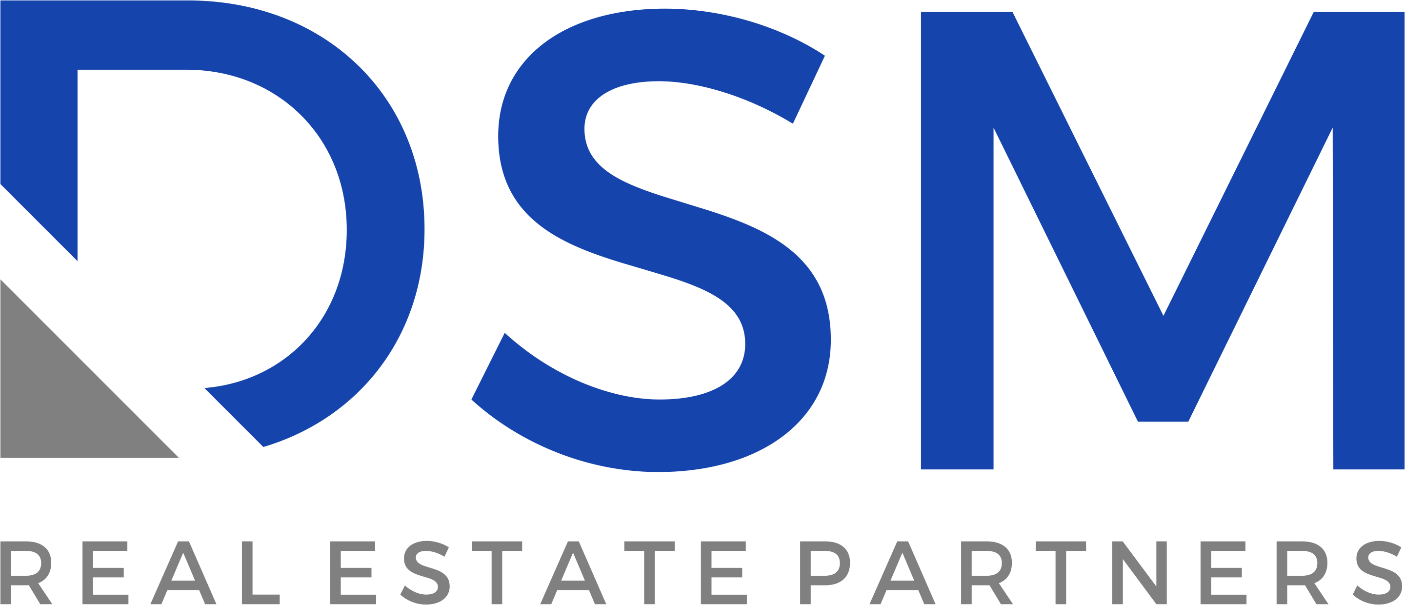 About Us DSM Real Estate Partners, LLC