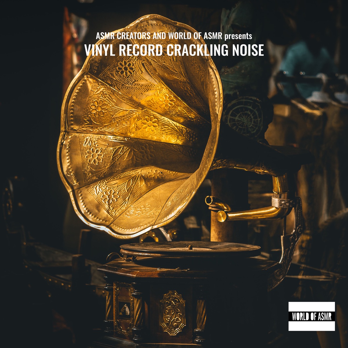 ᐉ Vinyl Record Crackling Noise MP3 320kbps & FLAC Best Dj Chart