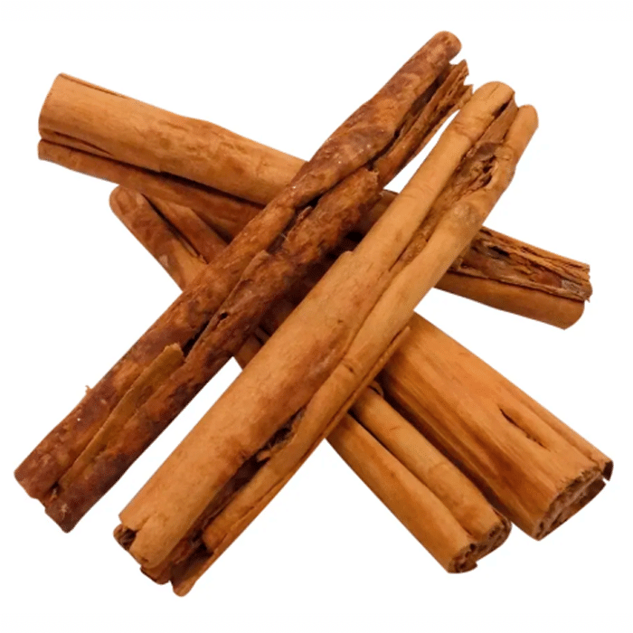 Canela 4/0 Continental - La Herradura