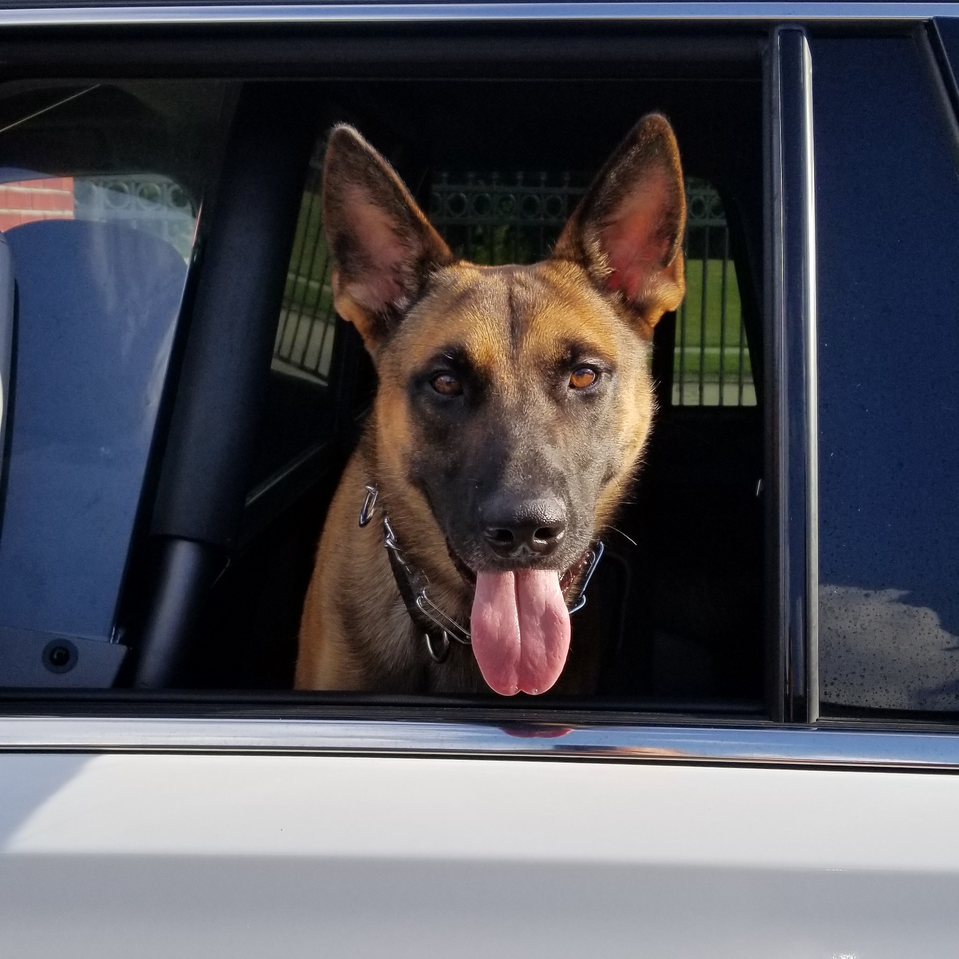 Denham Springs Police Department City of Denham Springs, Parish of