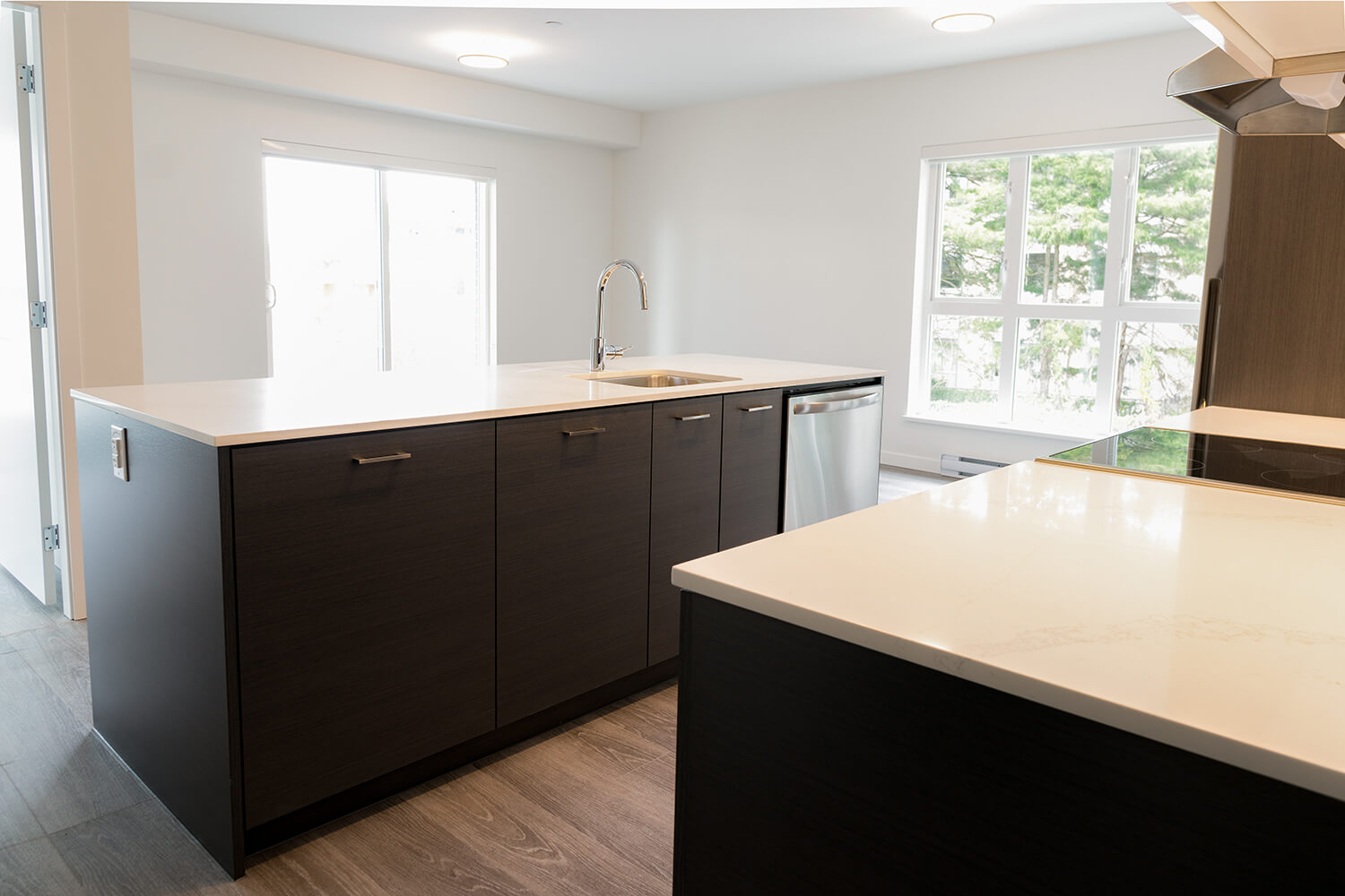 Lougheed Heights Rental , Coquitlam DSP Kitchens & Installations Custom Surrey