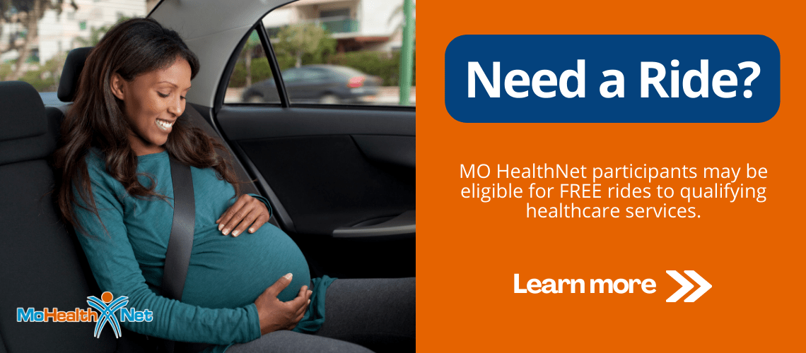 MO Division Missouri Department of Social Services, MO