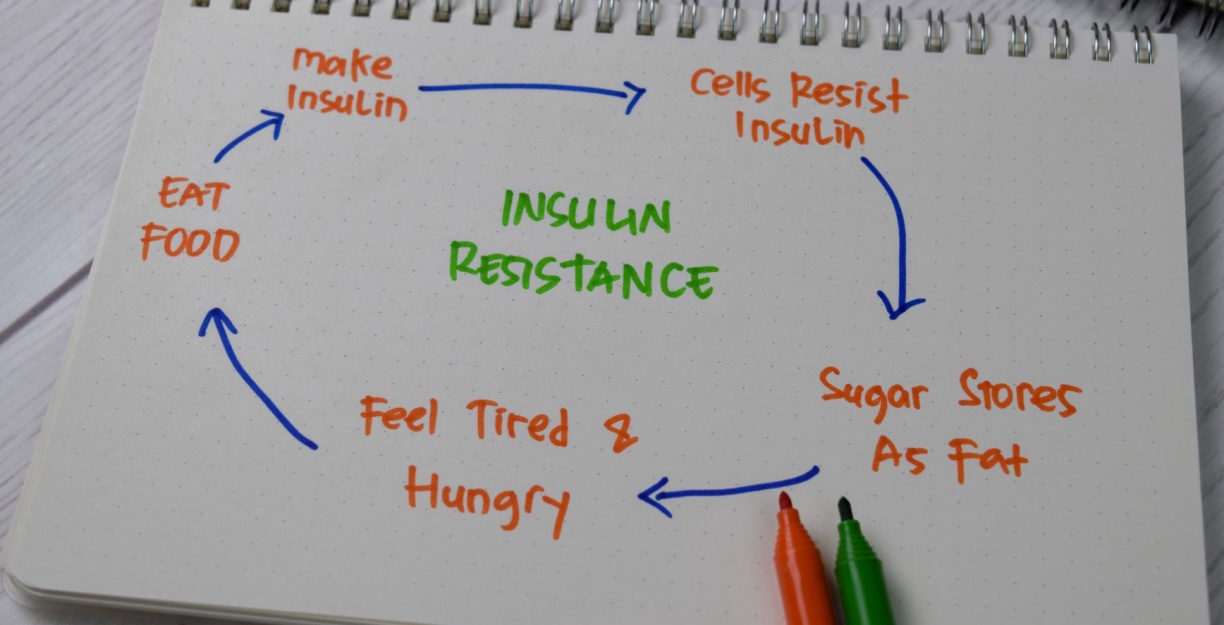 Är insulinresistens främsta skälet till ohälsa i dag? Madeleine
