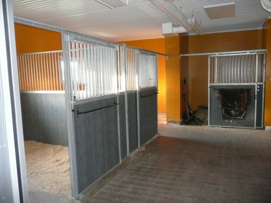 Kliniken Veterinär Borlänge Dalarna Hästkliniken Romme