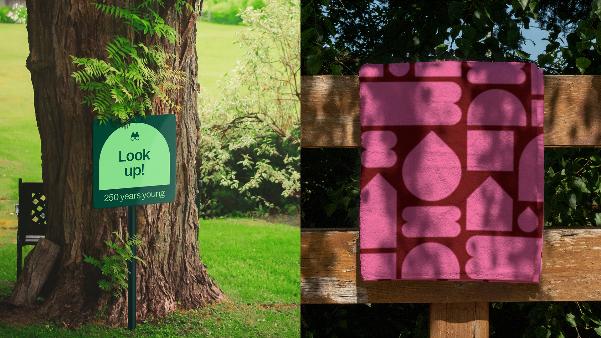 Another essential asset is our graphic shapes. Inspired by moments and elements in the parks