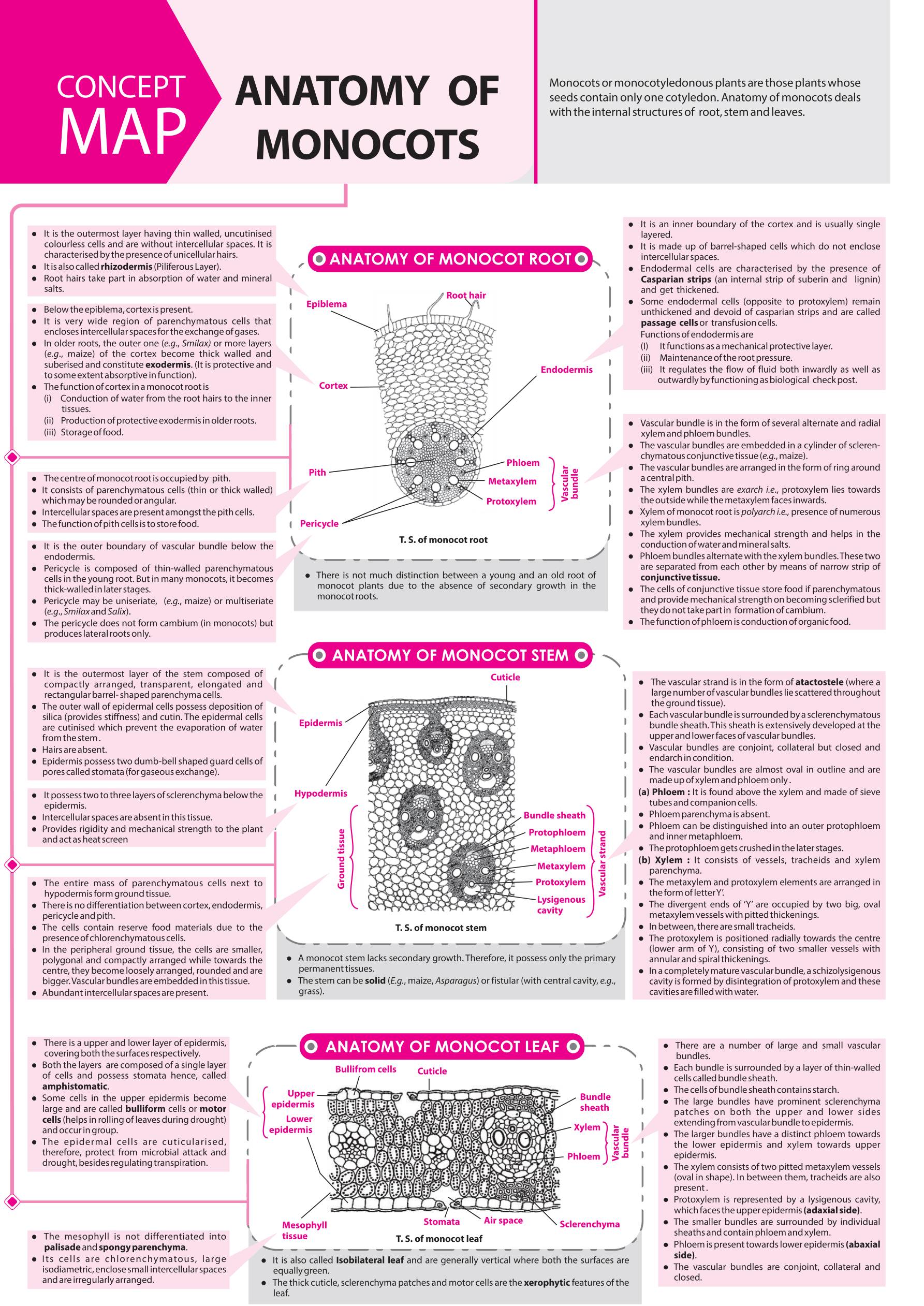 Concept Map Of Biology by Mtg Biology today… Neet Icar Bhu IITJam 