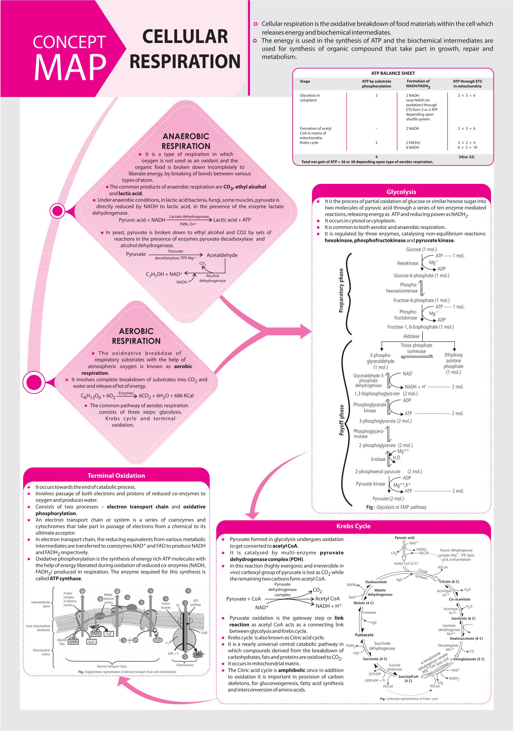 Concept Map Of Biology by Mtg Biology today… Neet Icar Bhu IITJam 
