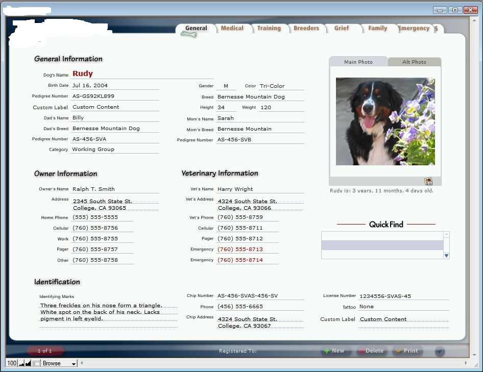 Creating Pet Medical Record Site