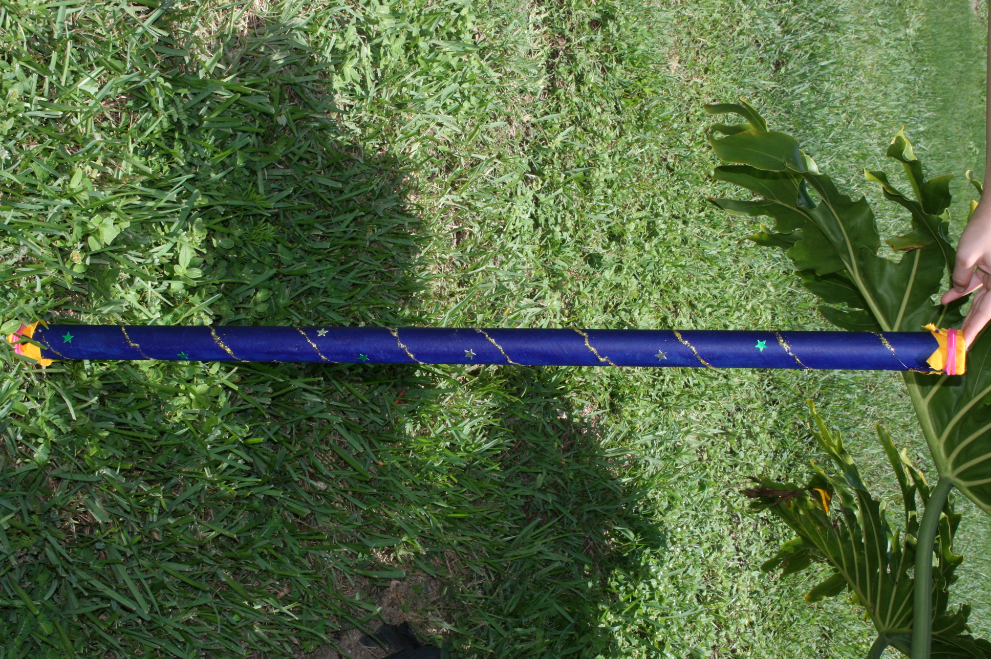 Rainstick Craft for Kids from the Garden by Author D.S.