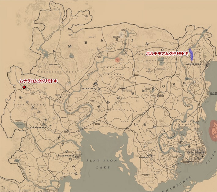 ボルチモアムクドリモドキ、ムナグロムクドリモドキの居場所 レッドデッドリデンプション2 攻略
