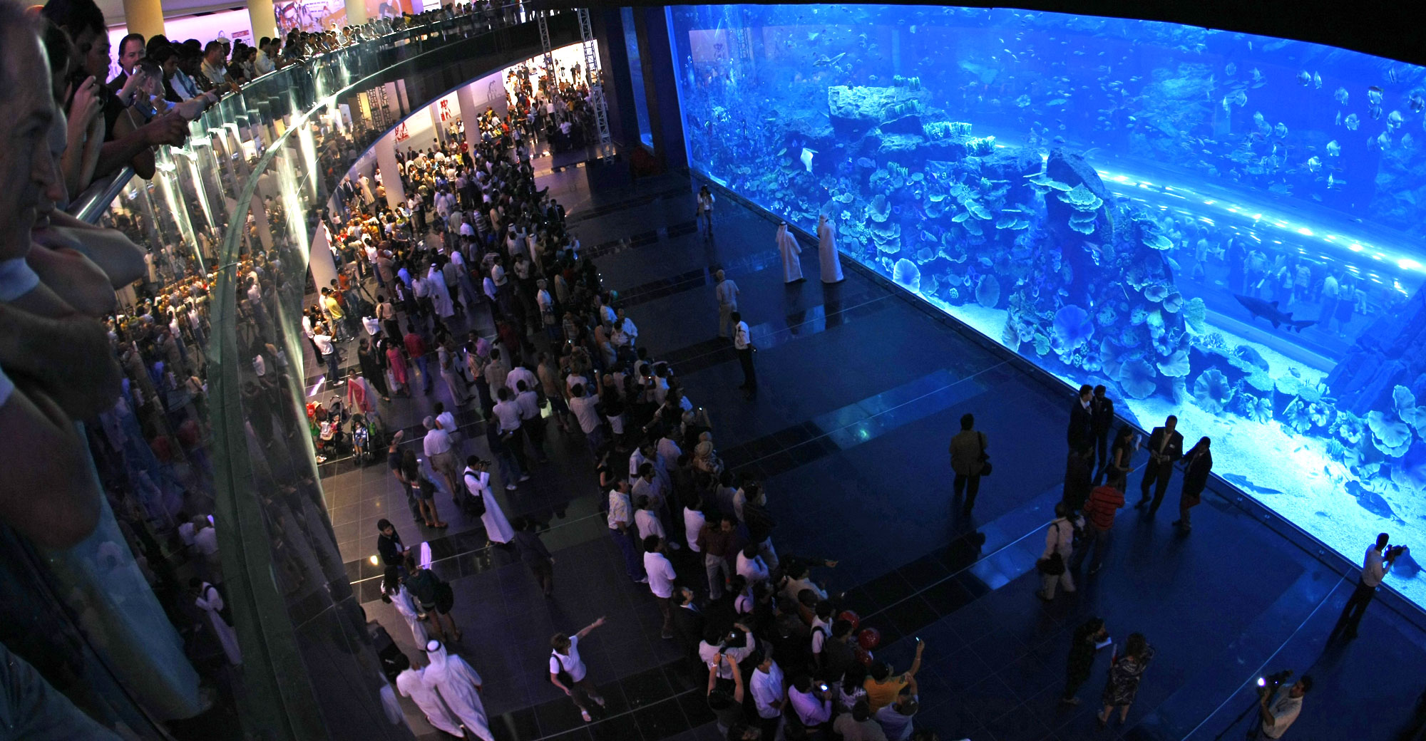 Dubai Aquarium & Underwater Zoo is one of the largest aquariums in the