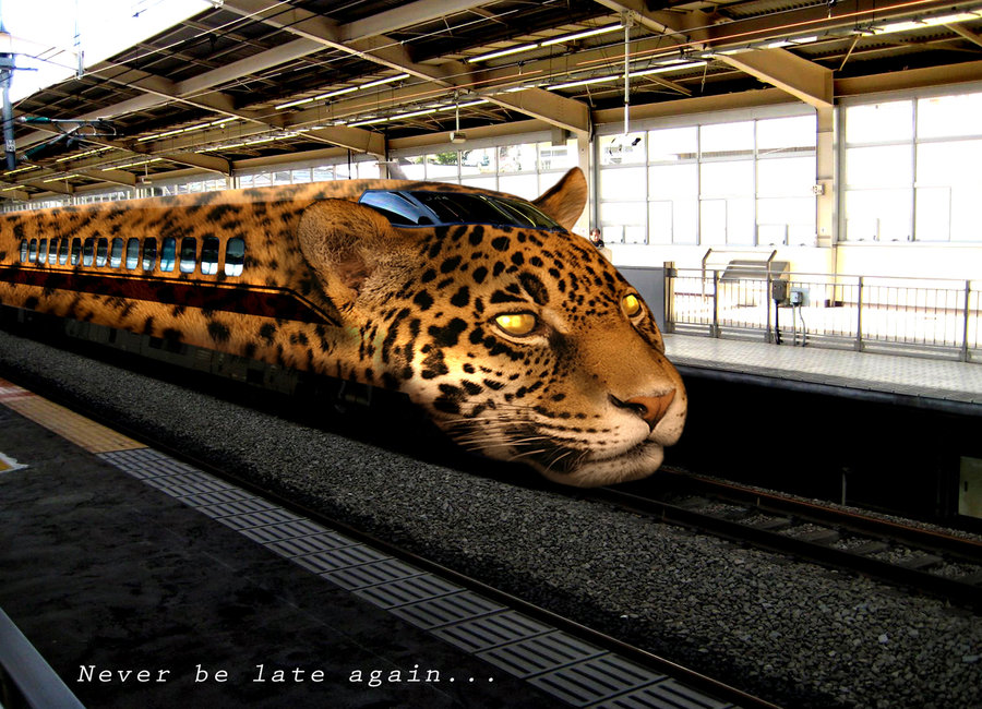 'Leopard Train', the fastest train in the world [Amazing Photo of the