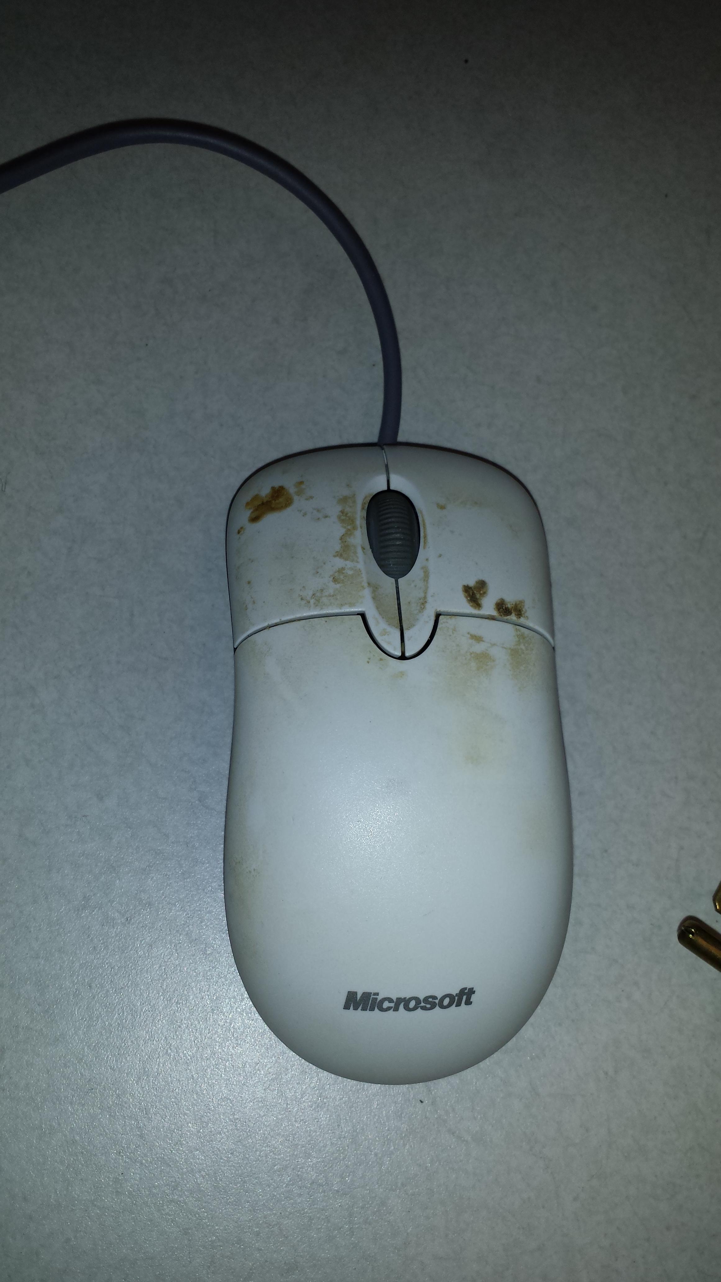 Extremely disgusting mouse [Image] dotTech