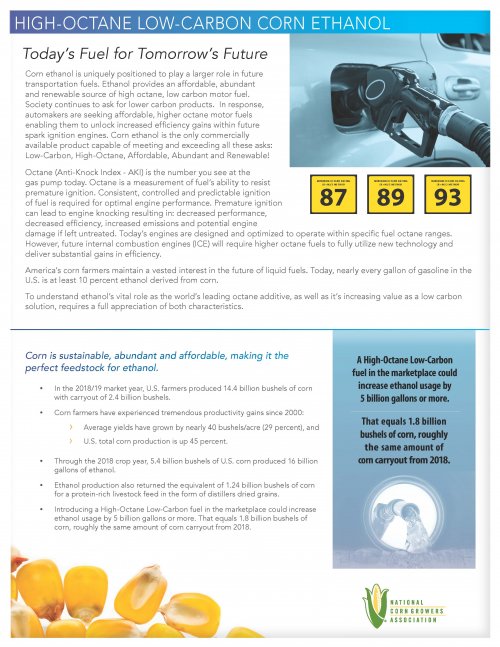 HighOctane LowCarbon