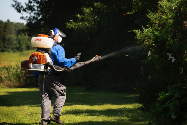 Termites? Call 1st Choice Pest Services