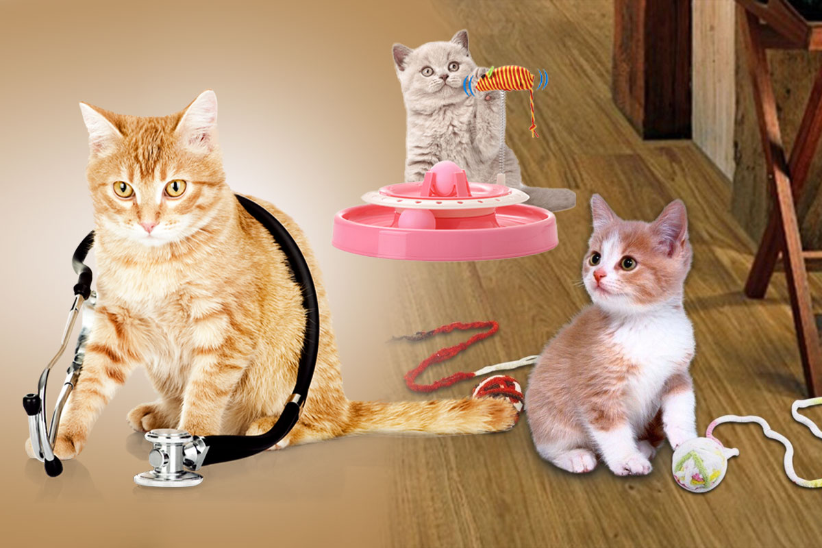 PrettyLitter Review Is It Really Different From Other Cat Litters