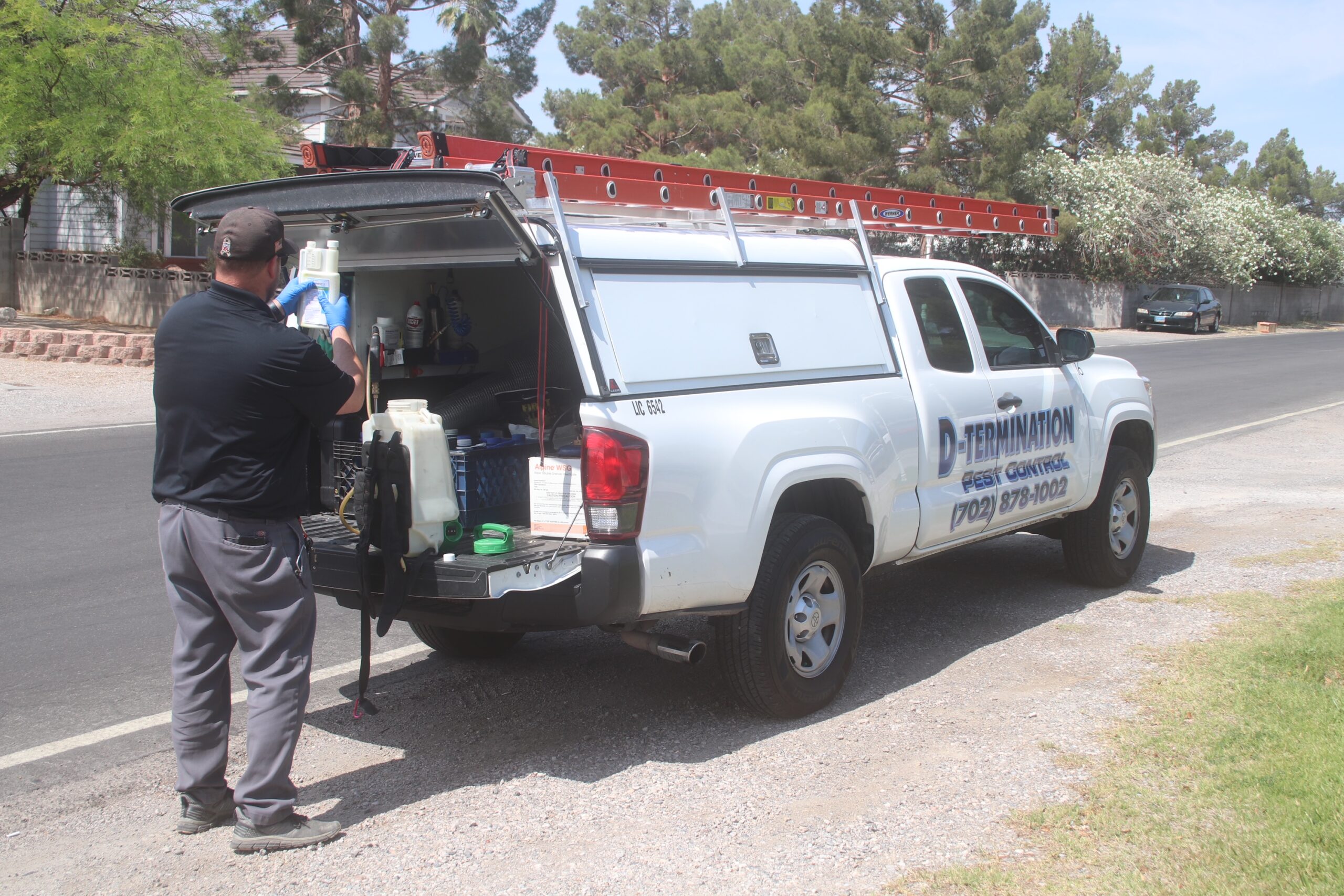 Commercial Pest Control Services In North Las Vegas NV