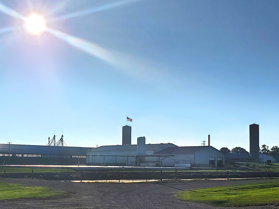 Bluebird Renewable Energy (under construction) DTE Vantage DTE Vantage