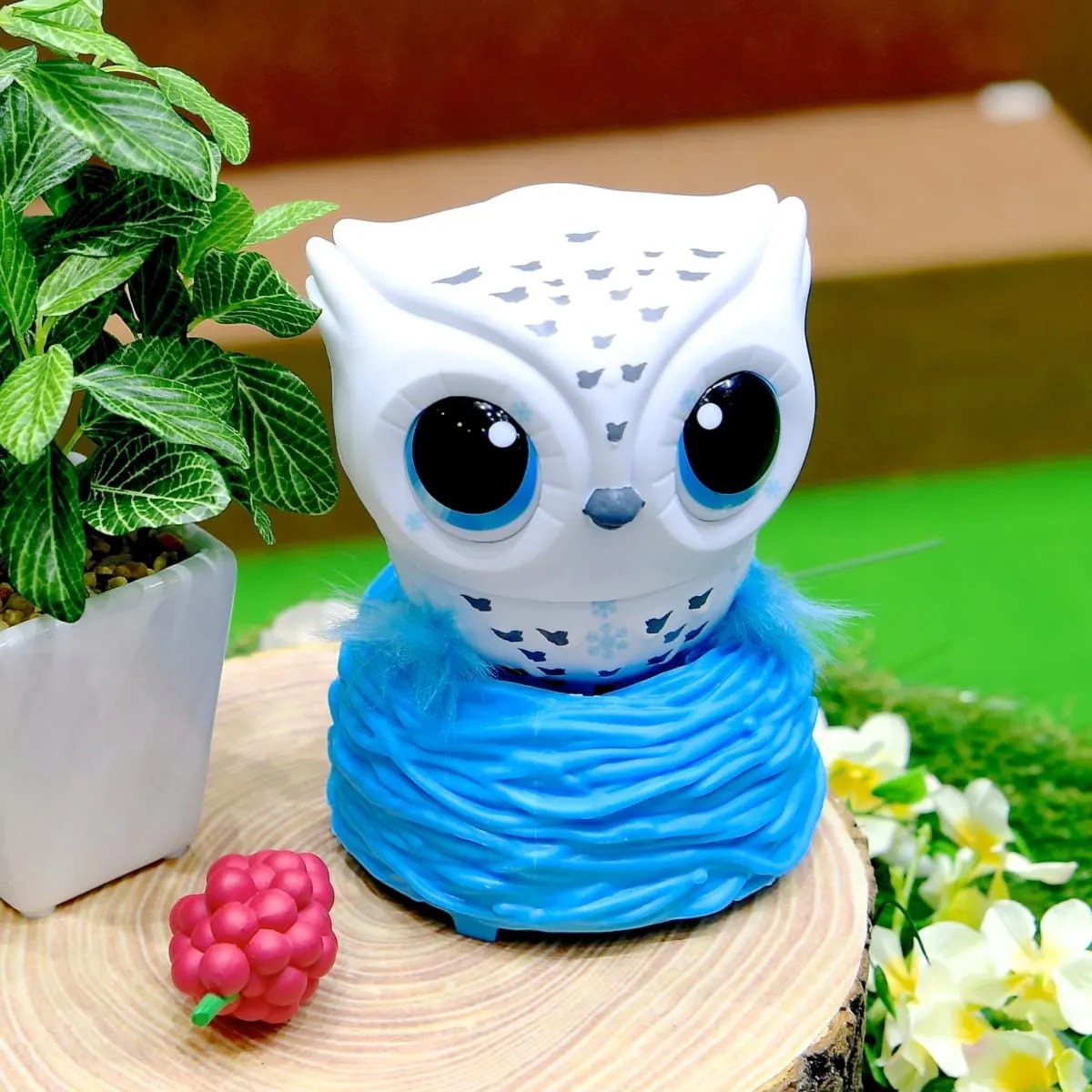 とんで！オウリ―_飛ばし方を教えてあげる Dtimes