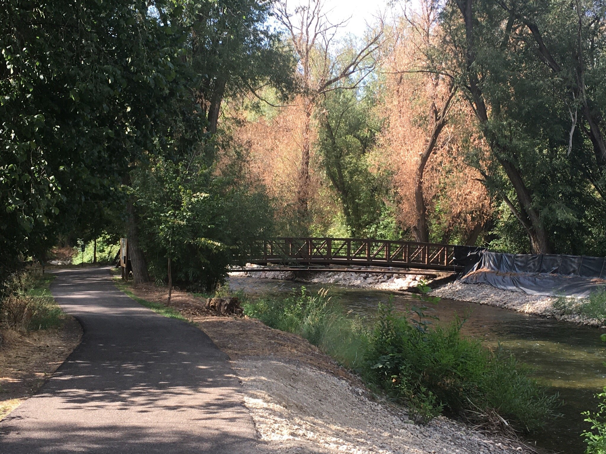 The Logan River Walk Trail In Utah Is Perfect For The Whole Family