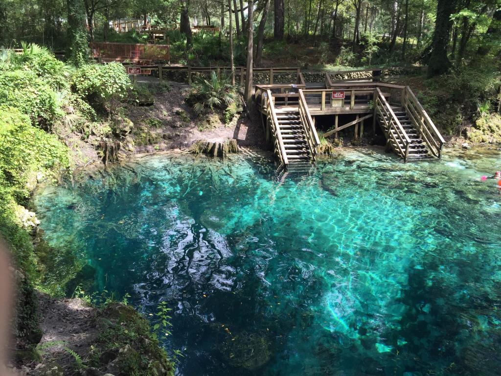 Madison Blue Springs In Florida Is A Stunning Natural Swimming Hole