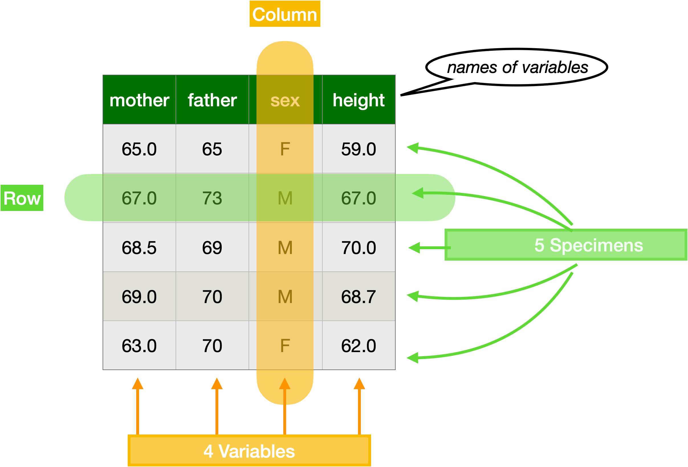 Lessons in Statistical Thinking 1 Data frames