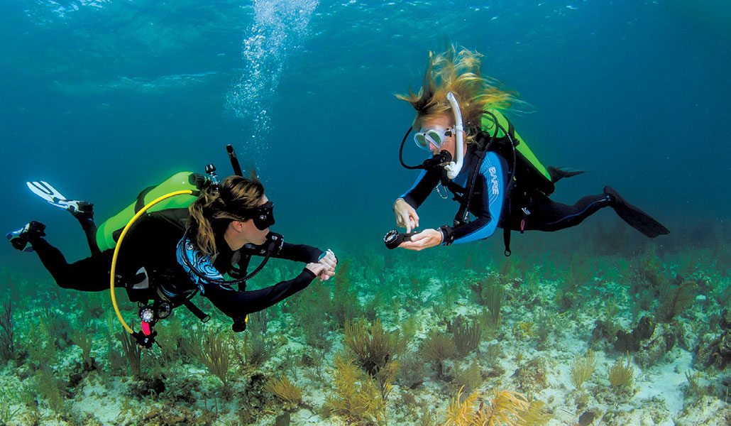 A Safe Habit Safety Stops as Standard Procedure Scuba Diving News