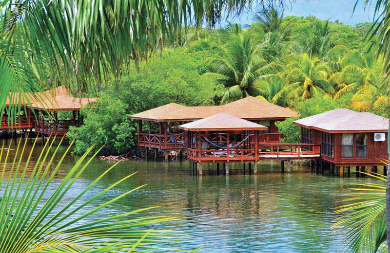 ANTHONY’S KEY RESORT, ROATAN, HONDURAS Scuba Diving News, Gear