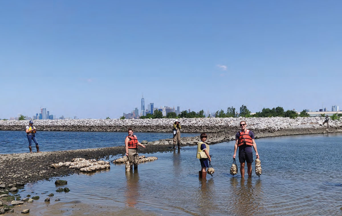 The Billion Oyster Project Aims to Restore Oyster Reefs to New York