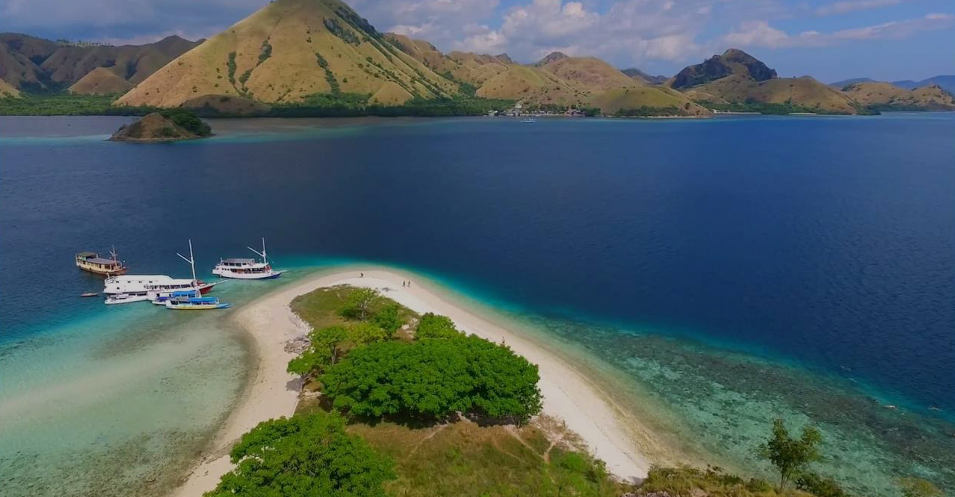 Kalong Island DTour Komodo Travel