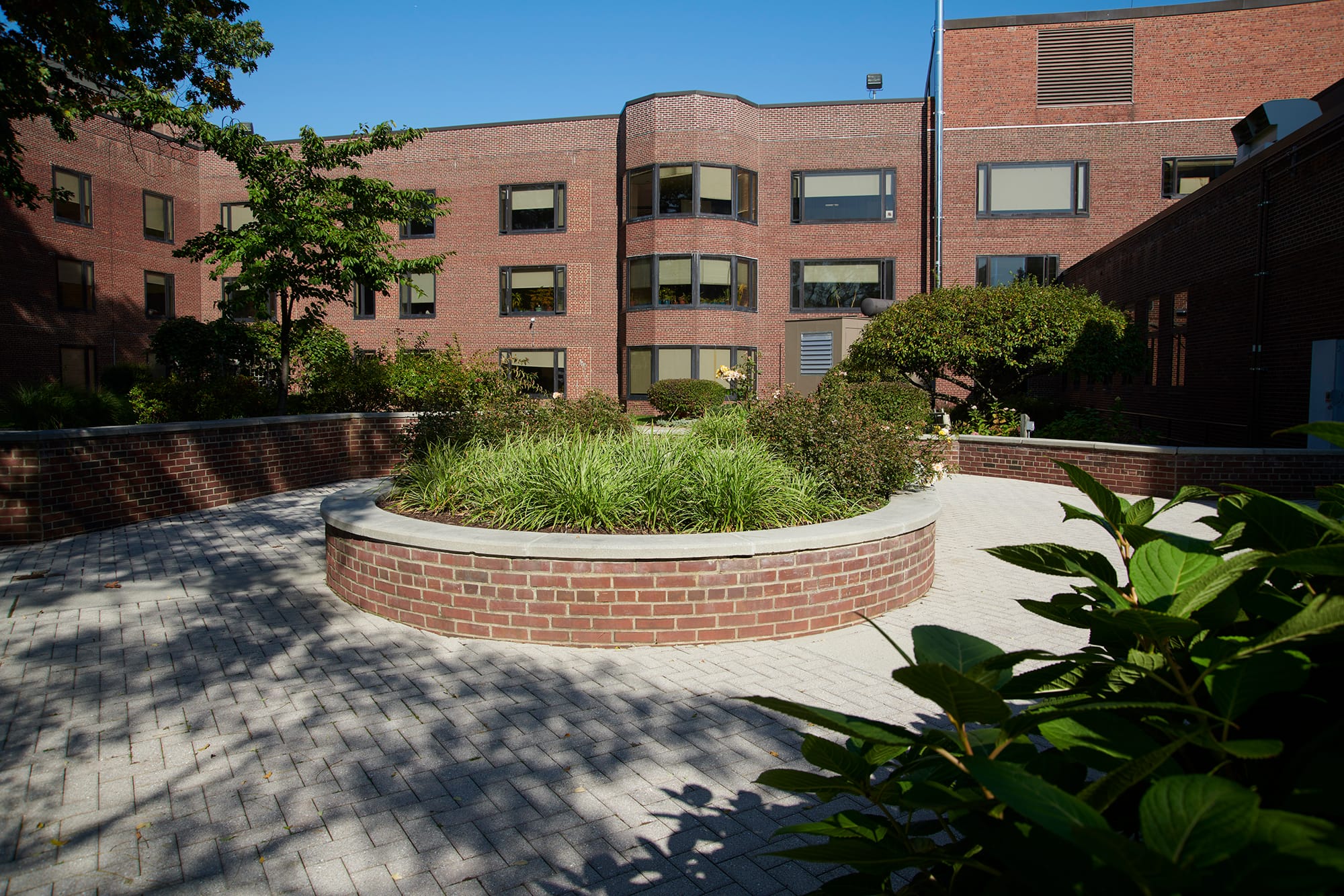 Westchester Medical Center DTS Provident