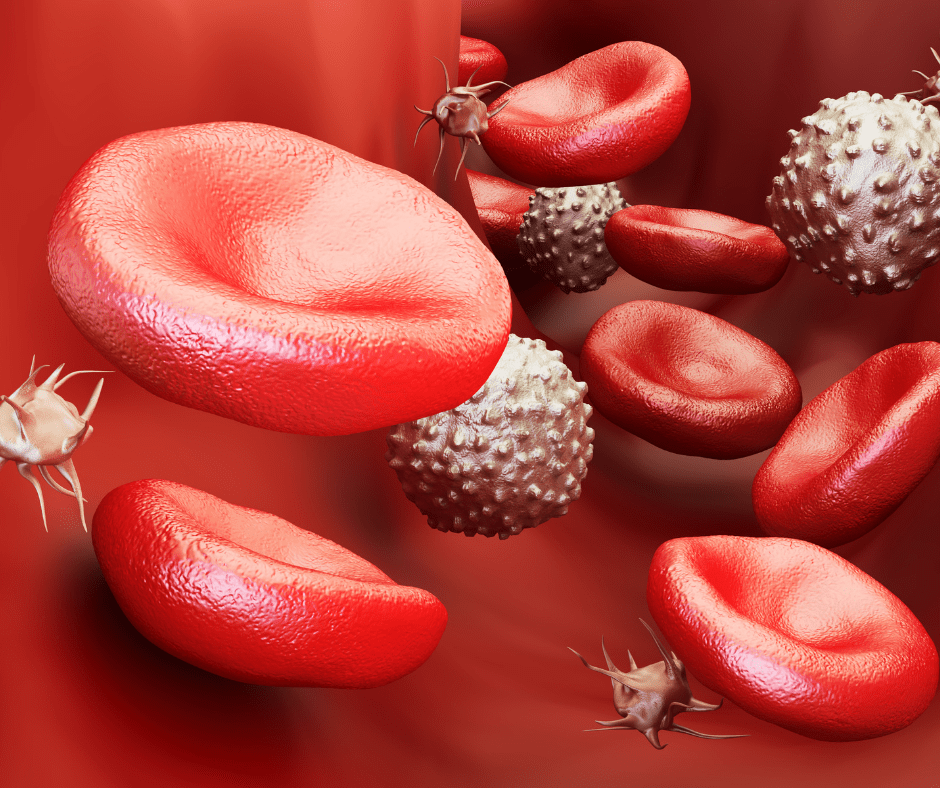 Iron deficiency anemia DubaiDr