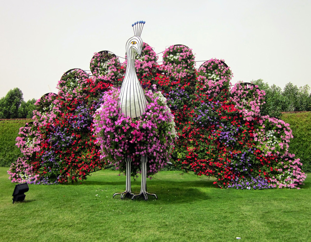Miracle Garden of flowers and Global Village in Dubai tickets and transfer