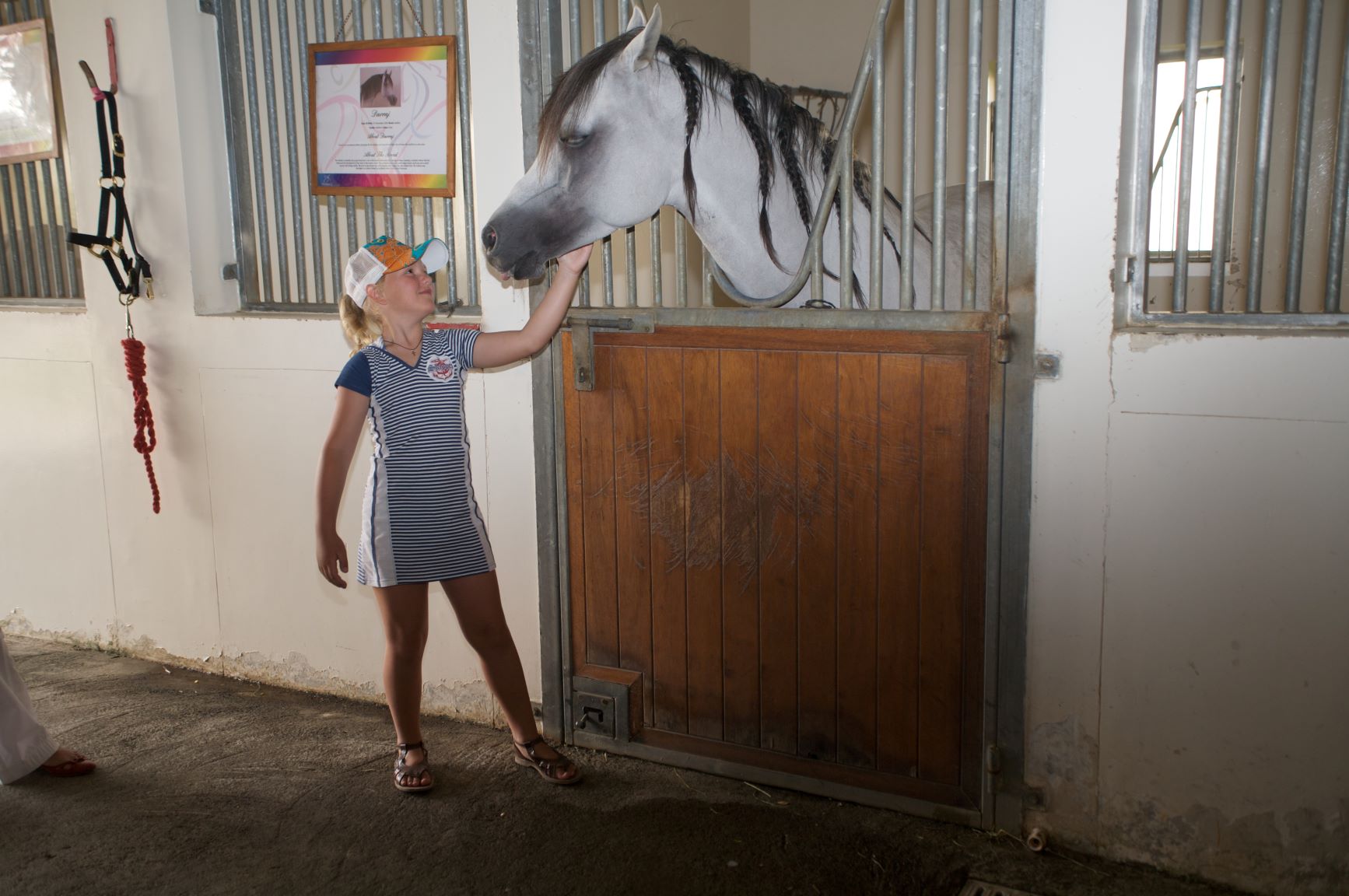 Horse riding in Dubai // Horseback ride in UAE// Arab horses stables