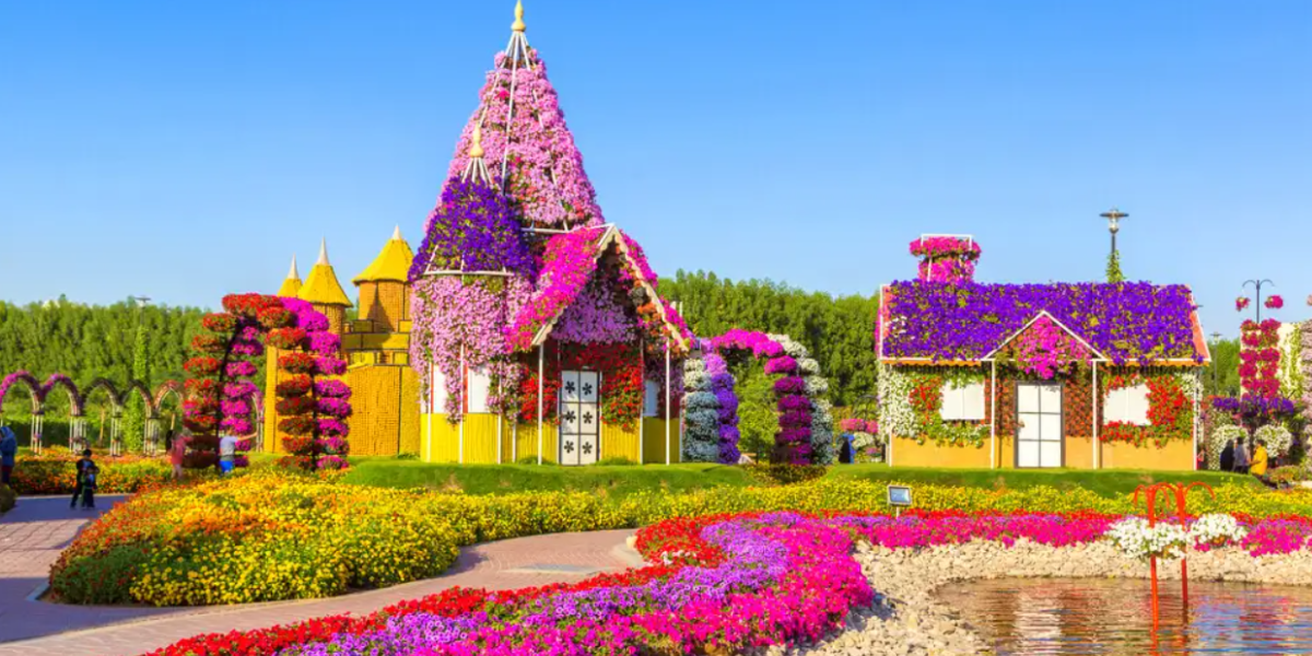 Dubai Miracle Garden Location, Timing & Tickets