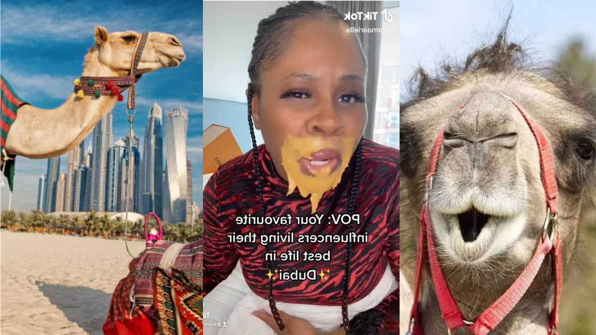 Dubai Porta Potty Отвратительный тренд в Tik Tok от моделей Dubaysk