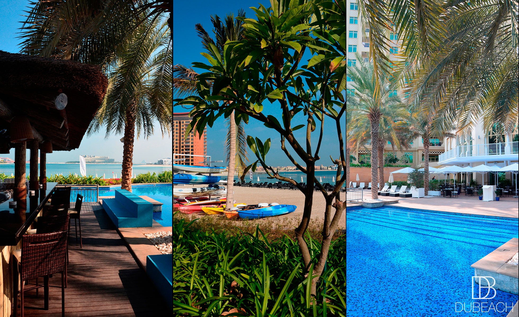 RIVA BEACH DUBAI The Palm Jumeirah Ladies Day