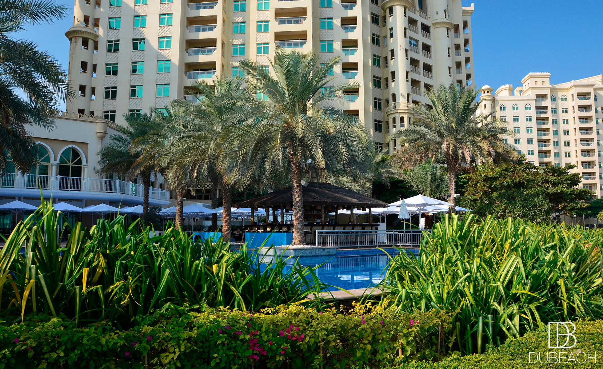 RIVA BEACH DUBAI The Palm Jumeirah Ladies Day