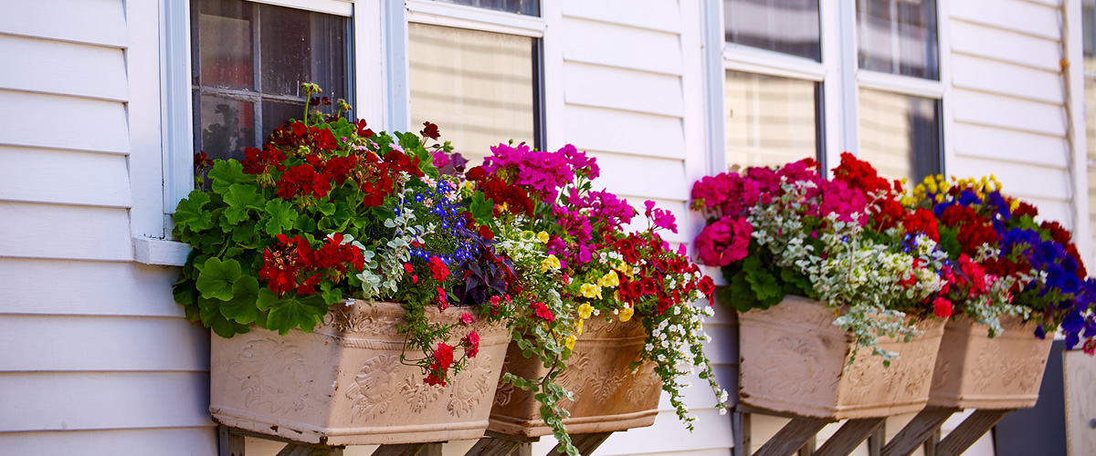 Dubin & Reardon Real Estate Attorneys Cape Cod Martha’s Vineyard Easton Brewster