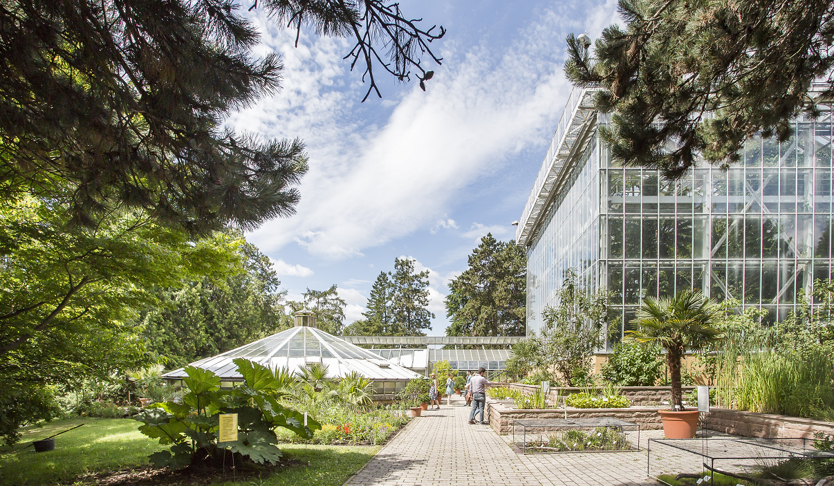 Botanischer Garten in Halle Gewächshäuser für