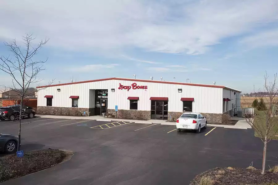 Lucky Bones Dublin Building Systems