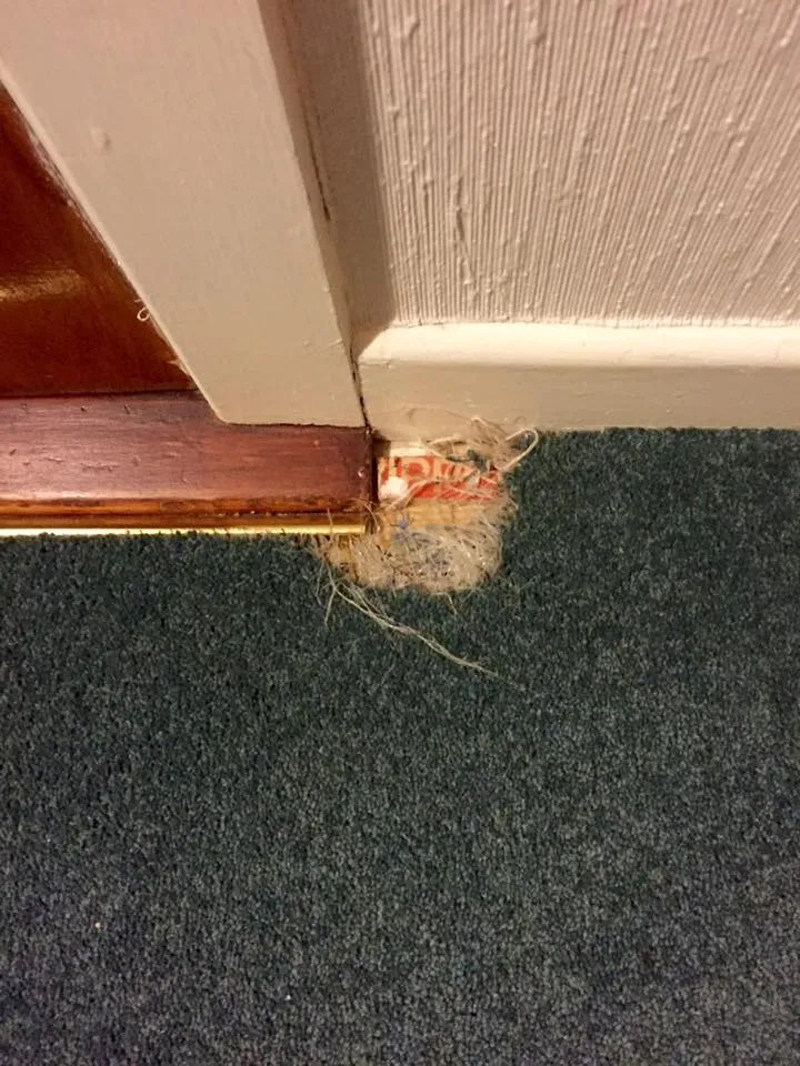 Carpet Fitting Dublin Dublin Carpet Fitting About Us