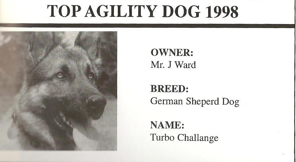 About Dublin Dog Training Dublin Dog Training