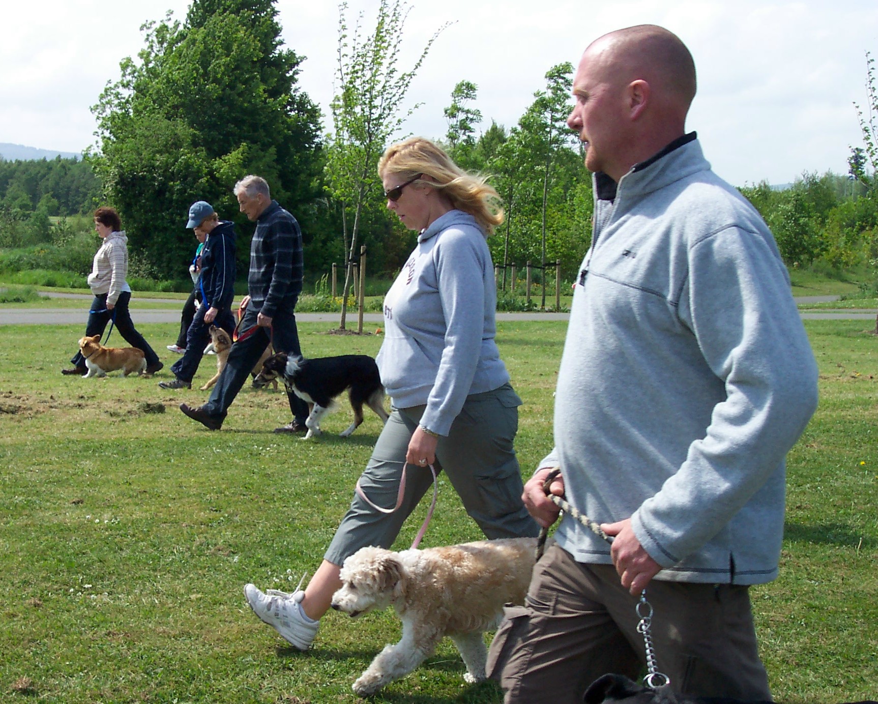 Obedience Dublin Dog Training