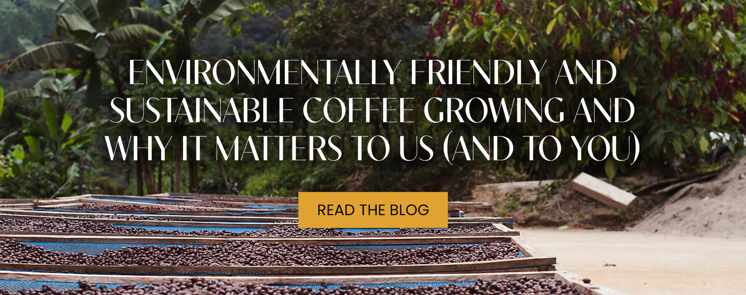 Coffee Shop in Frederick, MD Dublin Roasters