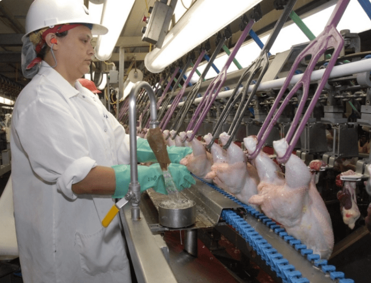 Tell the USDA Clean Up Our Poultry Center for Science in the Public